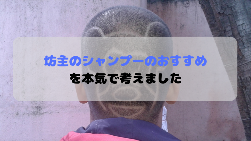 坊主のシャンプーのおすすめを本気で考えました ケア 手入れも紹介 Kamiino カミーノ