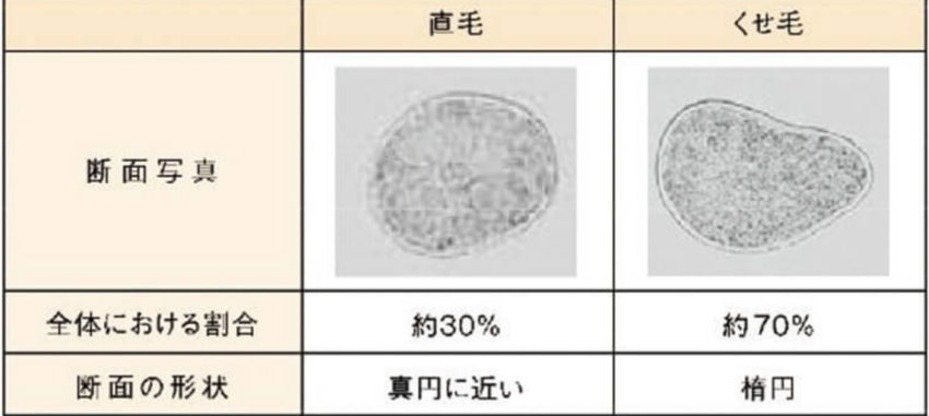 くせ毛の洗い流さないトリートメントのおすすめ 雨の日だって安心 Kamiino カミーノ